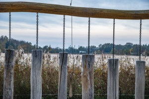 IGA Park Rostock Geheimtipp nahe der Ostsee Trippics
