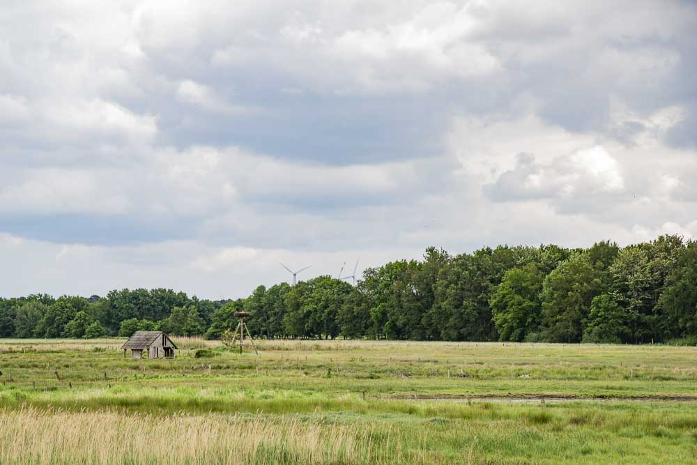 Storchennest in der Ferne