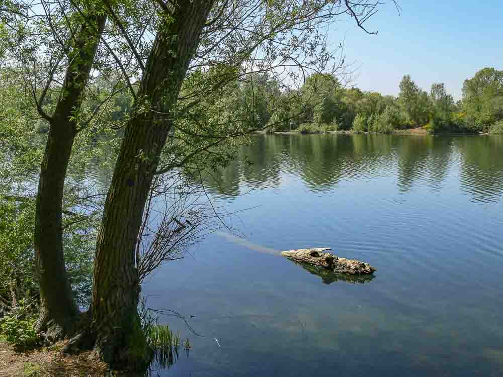 Rotter See Troisdorf