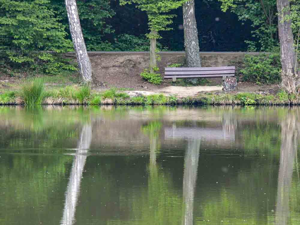 Steinbachtalsperre Euskirchen