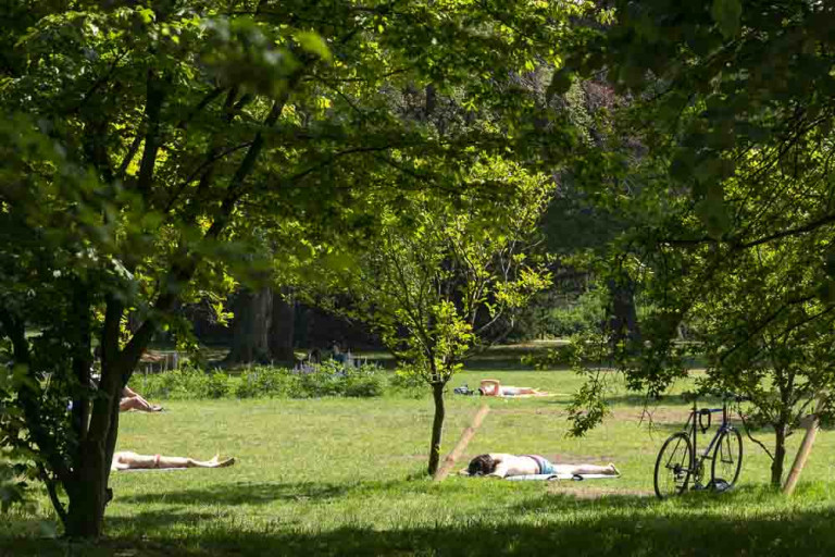 Volksgarten Düsseldorf – Wohlfühlort ganz ohne Edelflair - Trippics