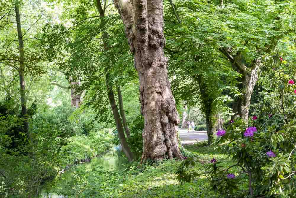 Volksgarten Düsseldorf