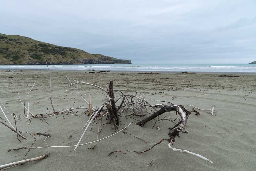 Strand in Okains Bay