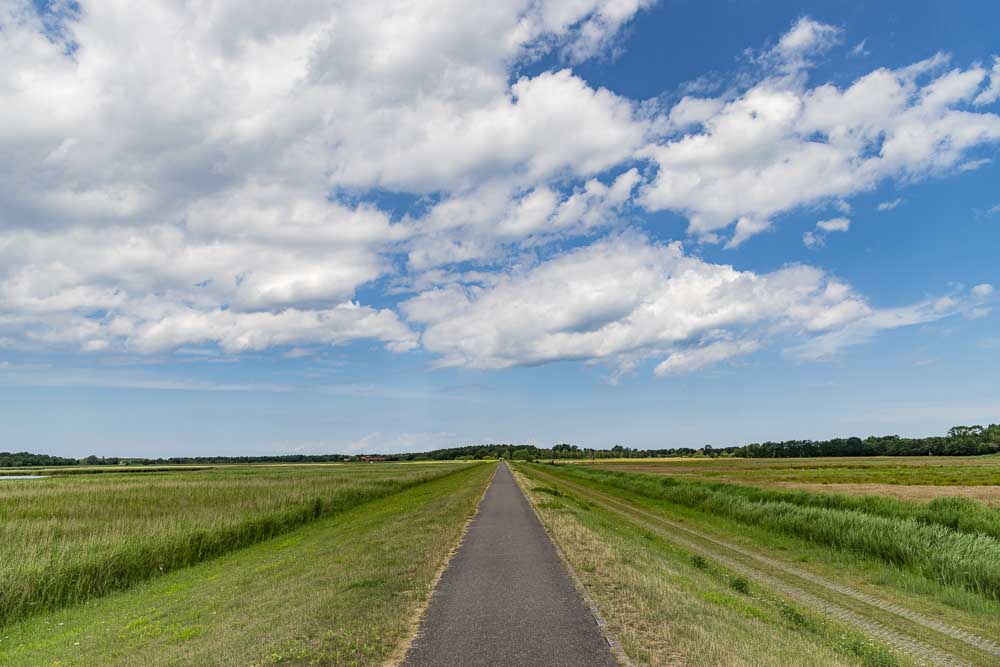 Radweg auf dem Deich