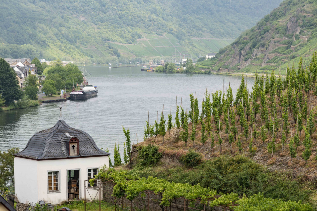 Blick von der Karmeiter-Kirche auf die Mosel