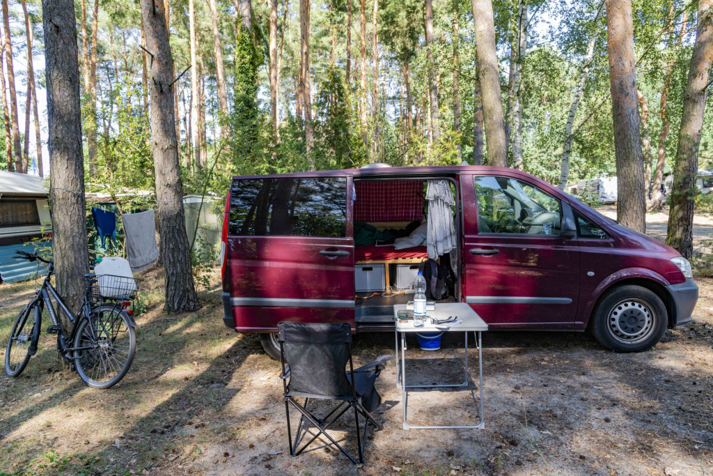 mitten im Spreewald