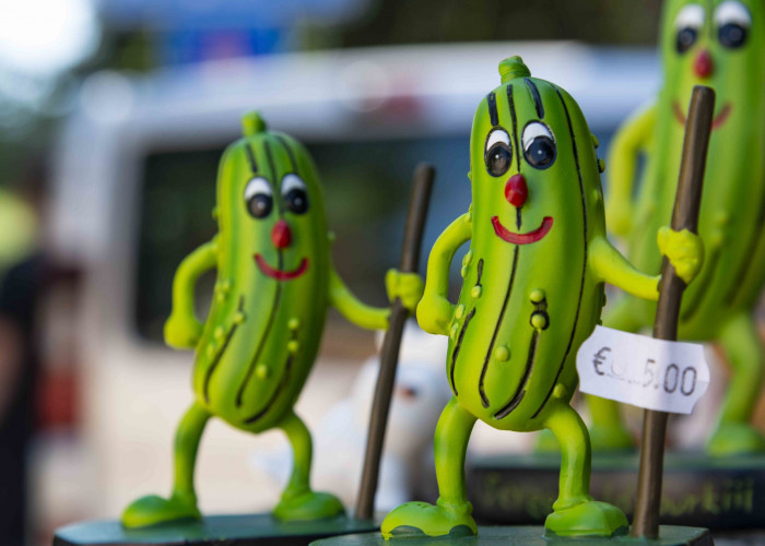 Gurken aller Art in Lübbenau Spreewald