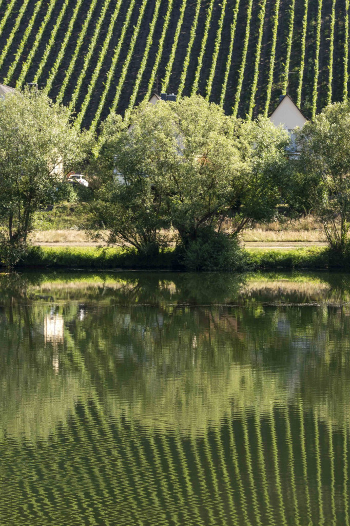 Morgenstimmung an der Mosel