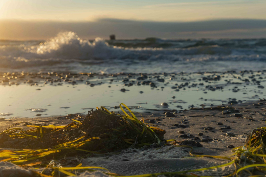 Abendstimmung am Weststrand