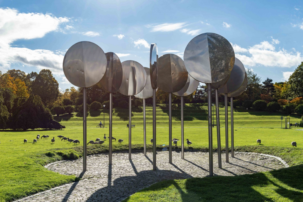 Löffelwald in der Rheinaue Bonn