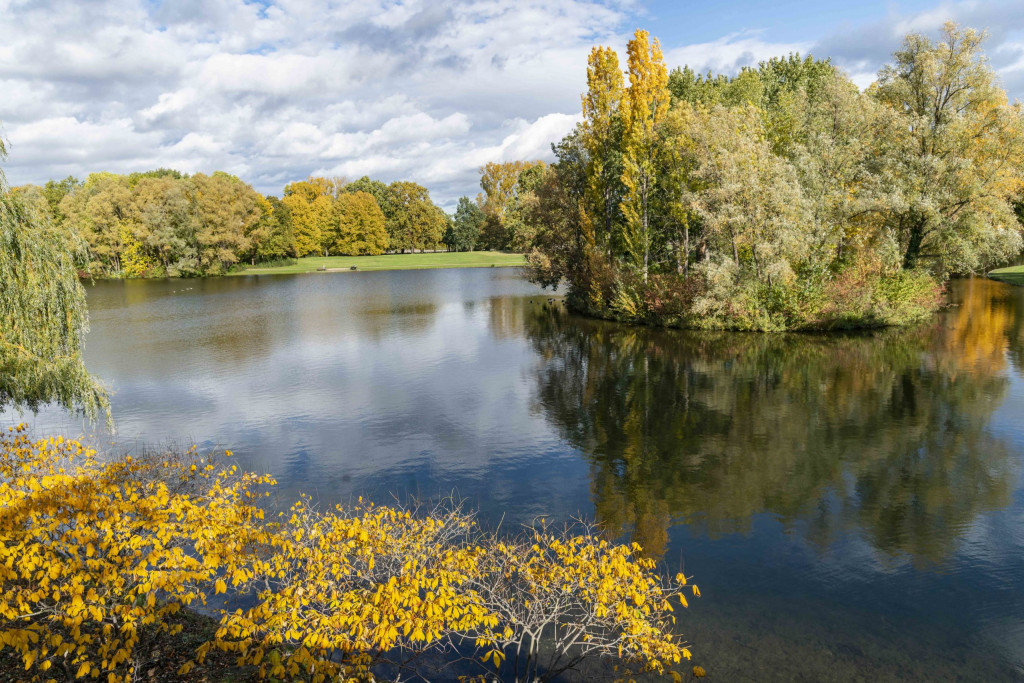 Auensee in der Rheinaue Bonn