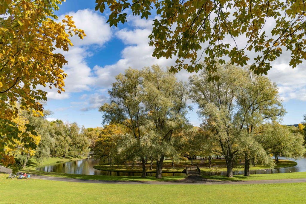 Rheinaue Bonn