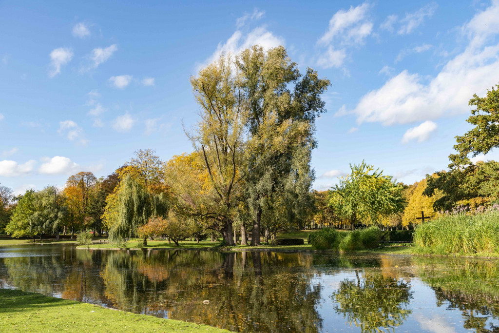 Auensee in der Rheinaue