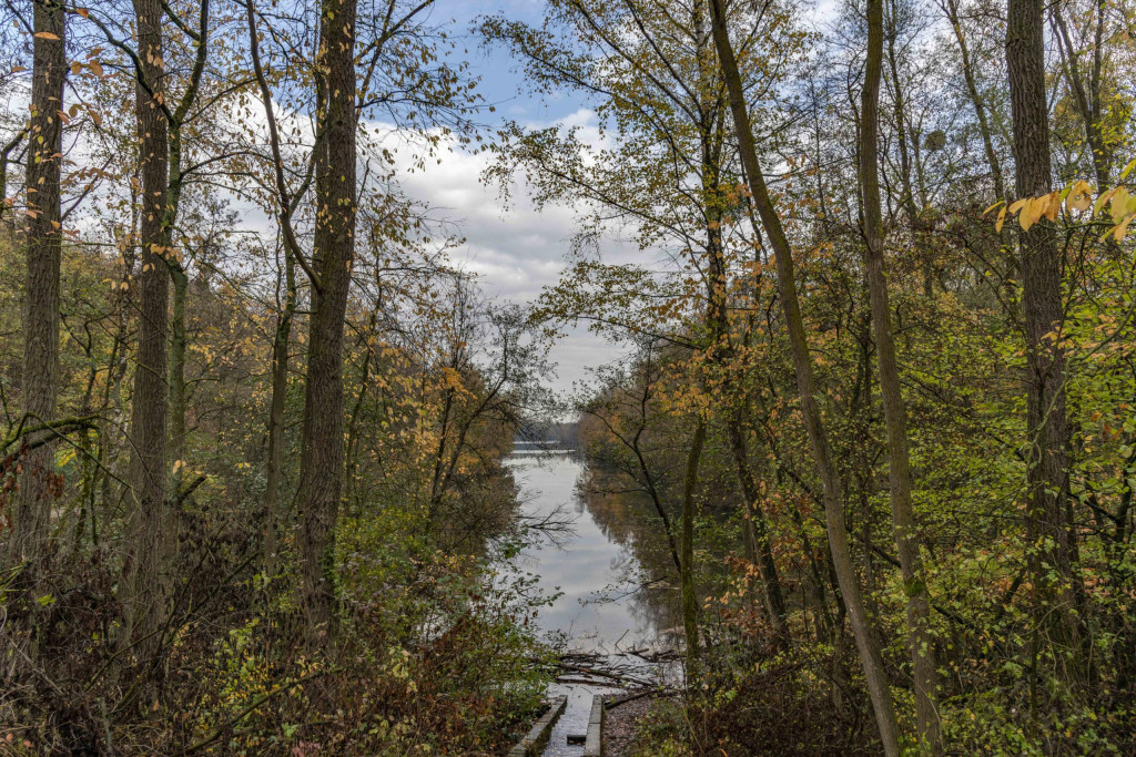 Heider Bergsee