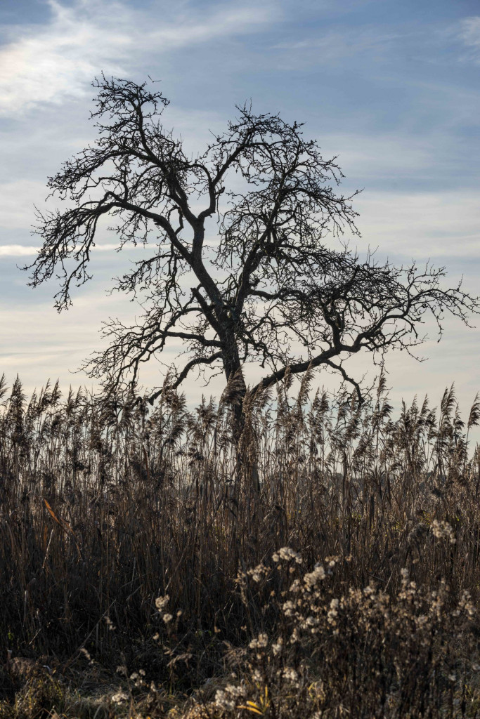 Winterlandschaft