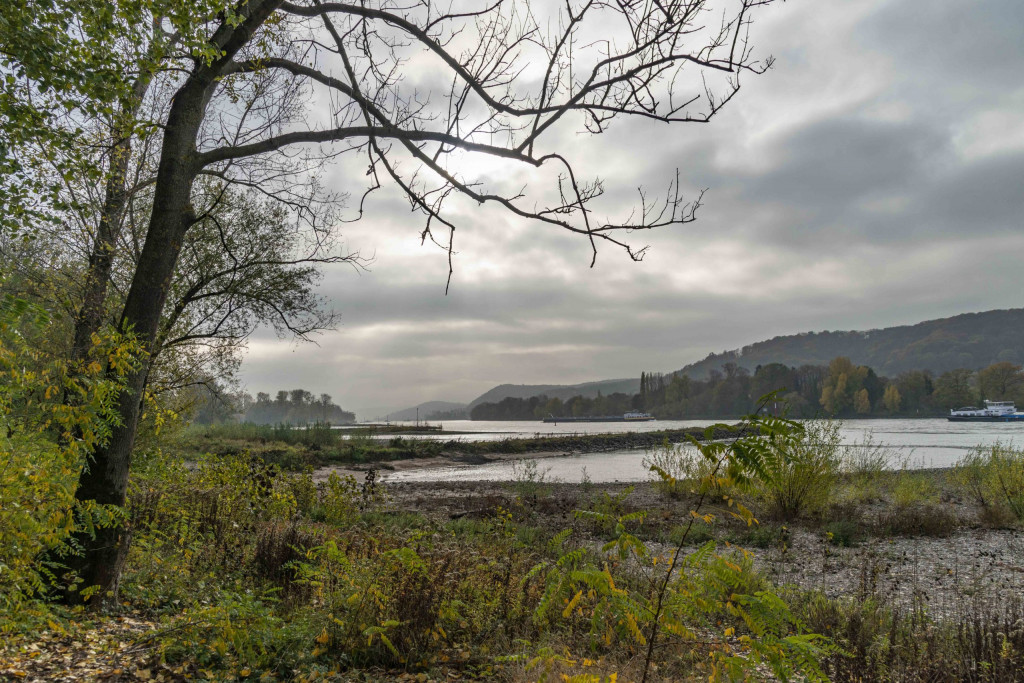 unterwegs am Rhein