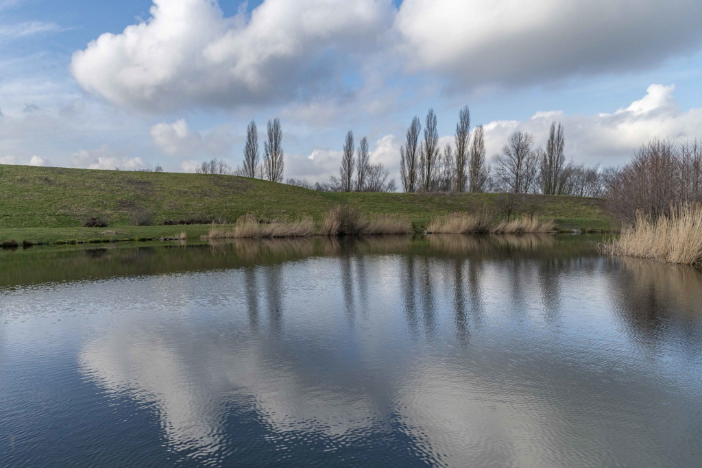 Teich wie im Süden Irlands