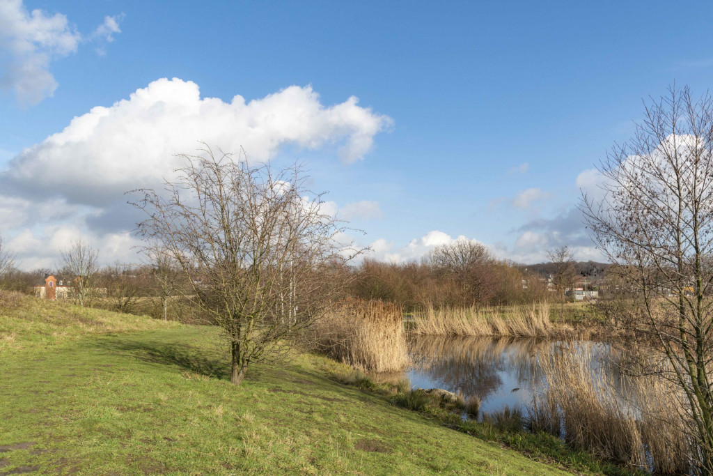 Teich im Erin-Park