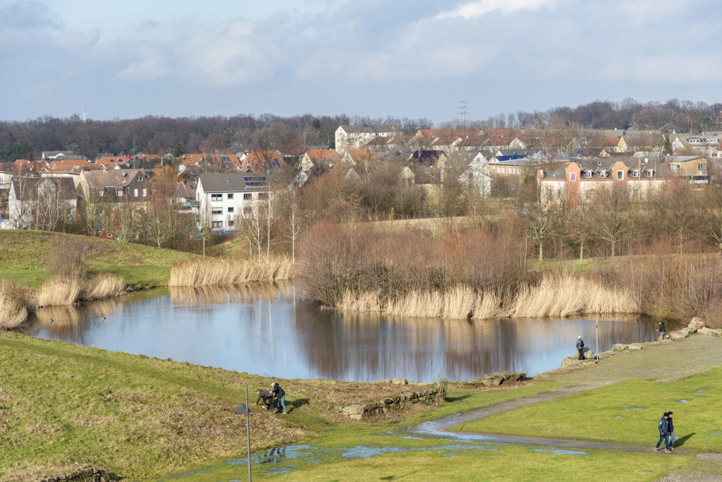 Blick von oben auf den Teich im Erin-Park