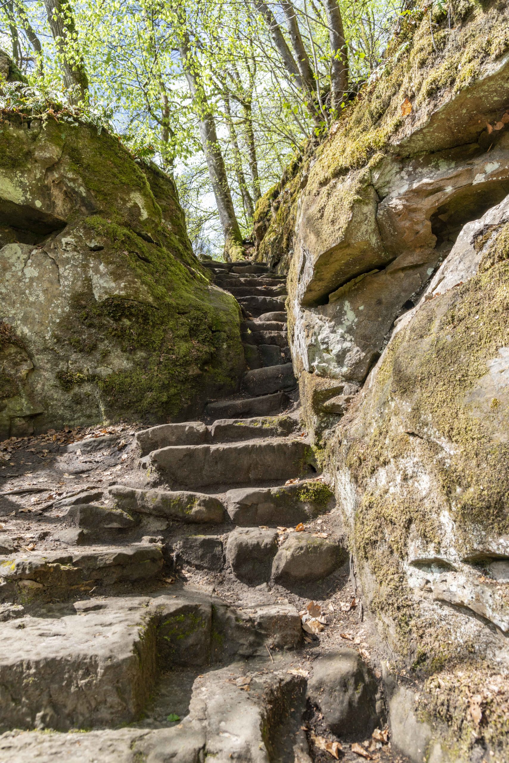 Müllerthal Luxemburg Wanderweg