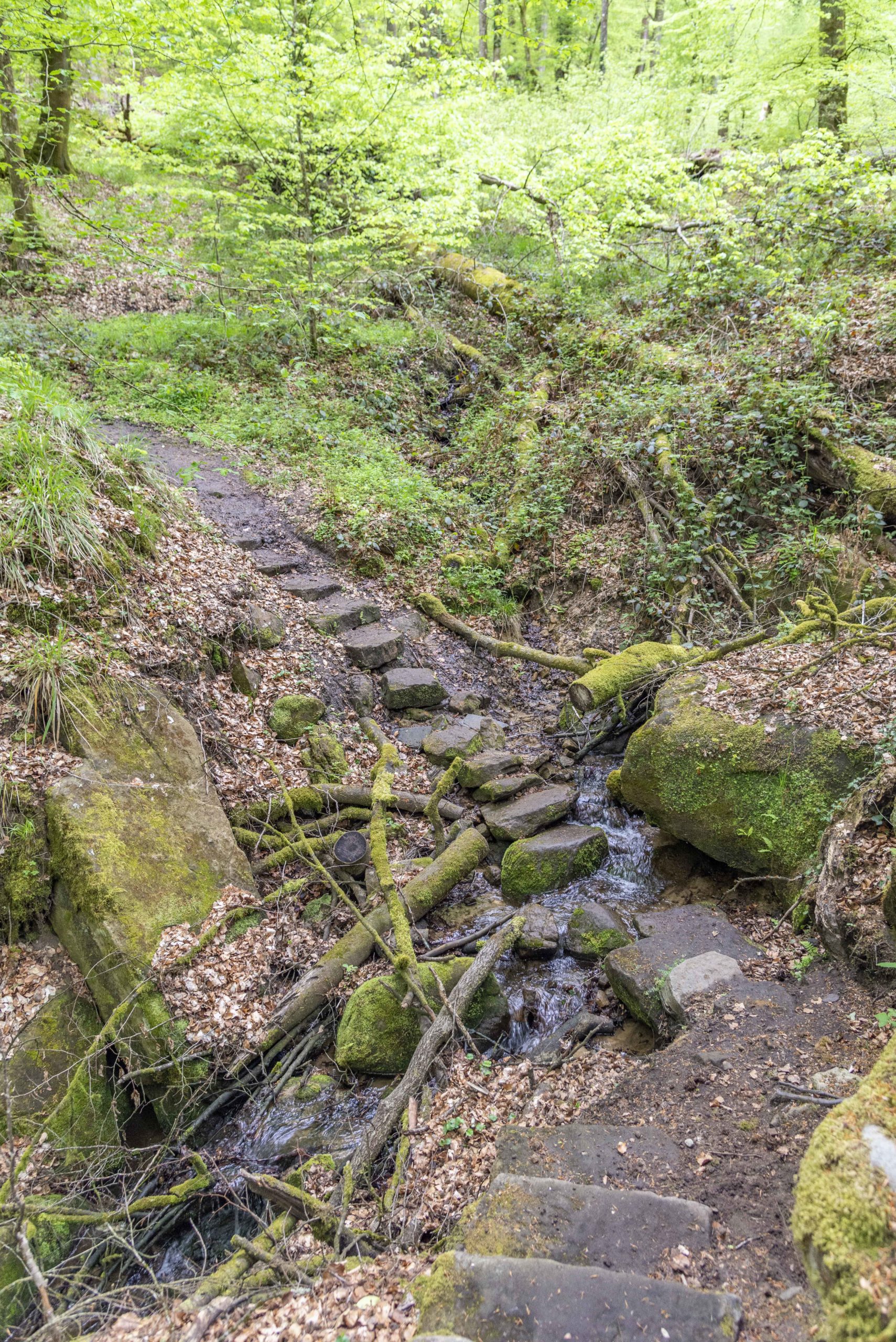 gut ausgebaute Wanderwege