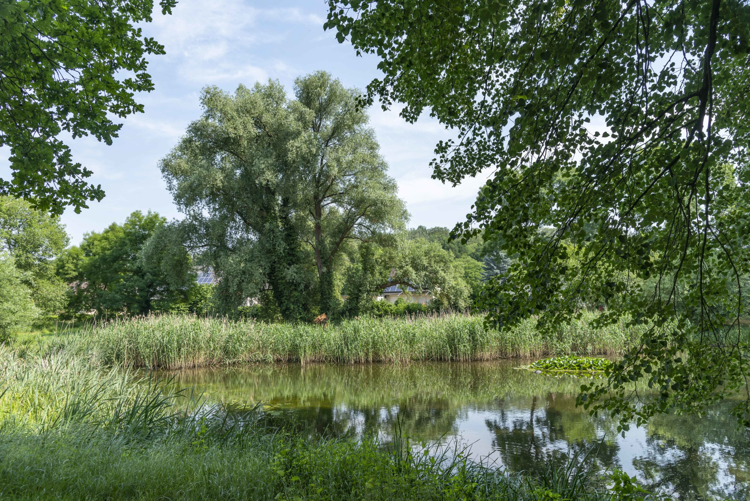 Schlosspark Nennhausen