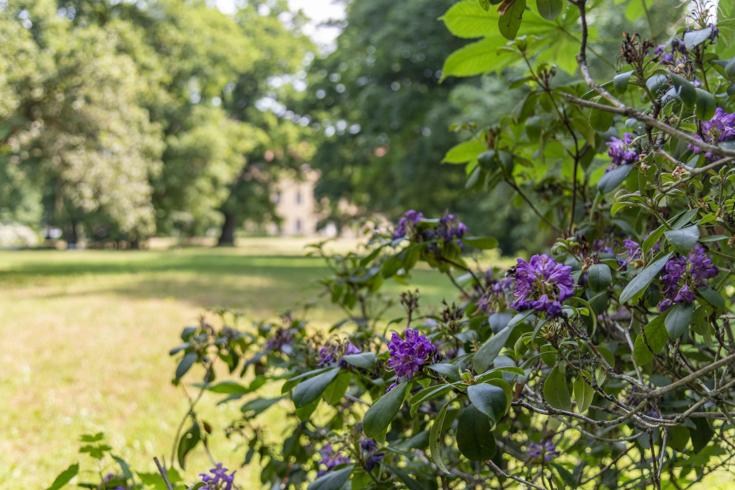 Schlosspark Nennhausen