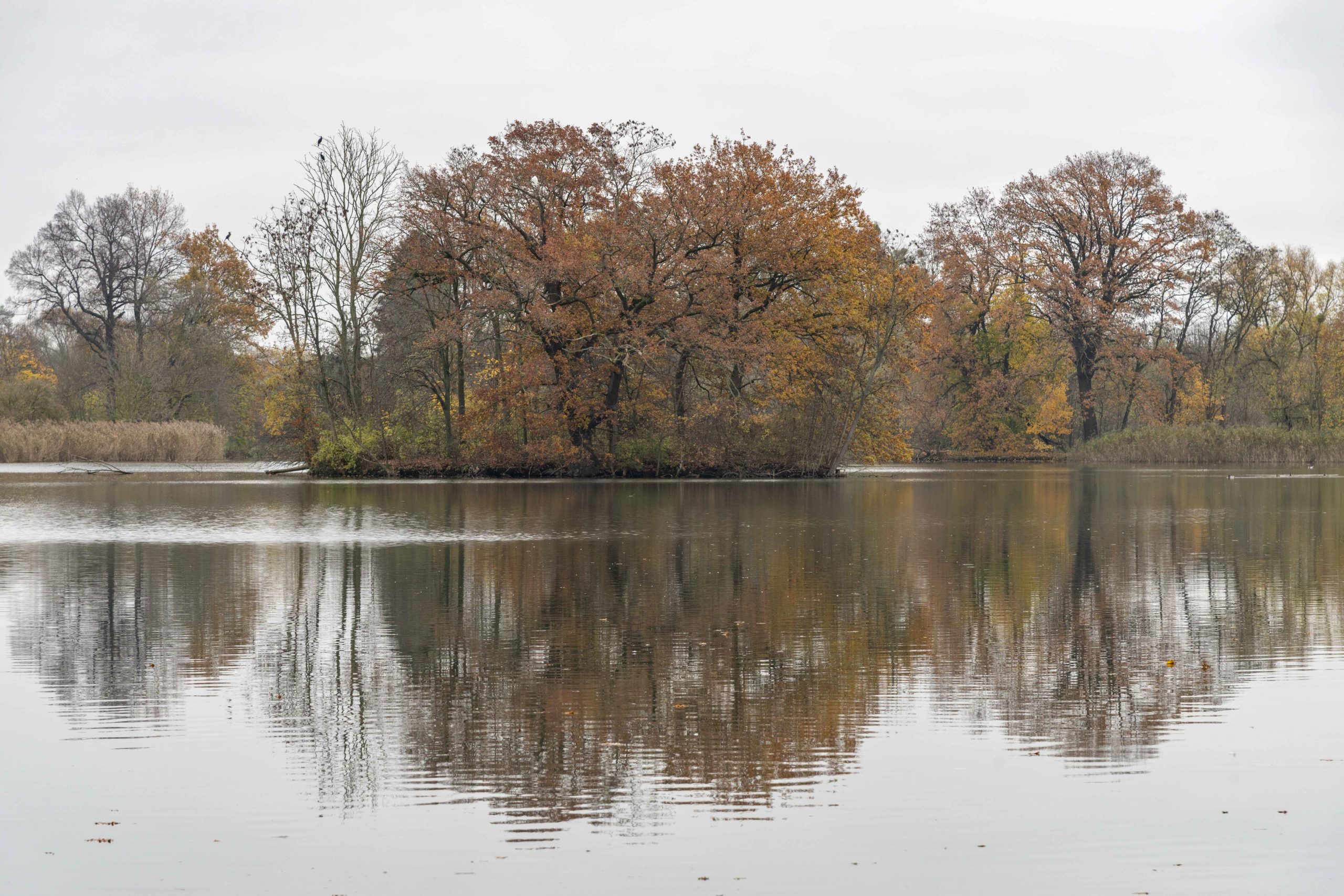 am See