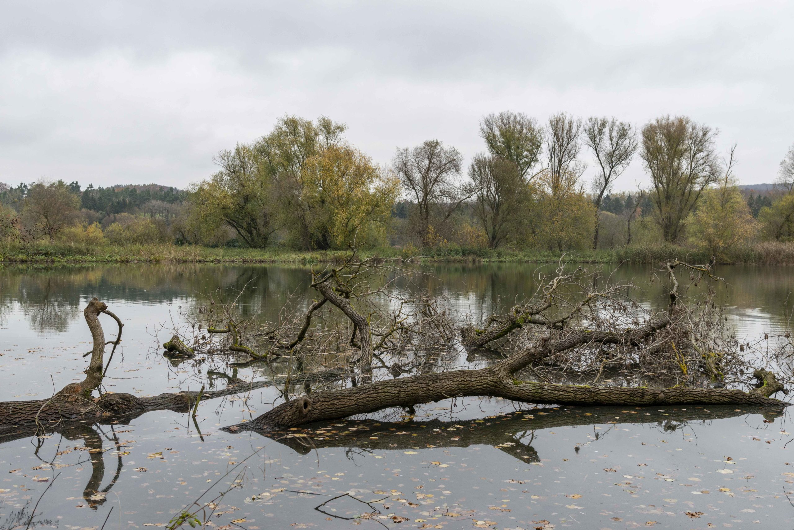 am See auf dem Laves-Kulturpfad