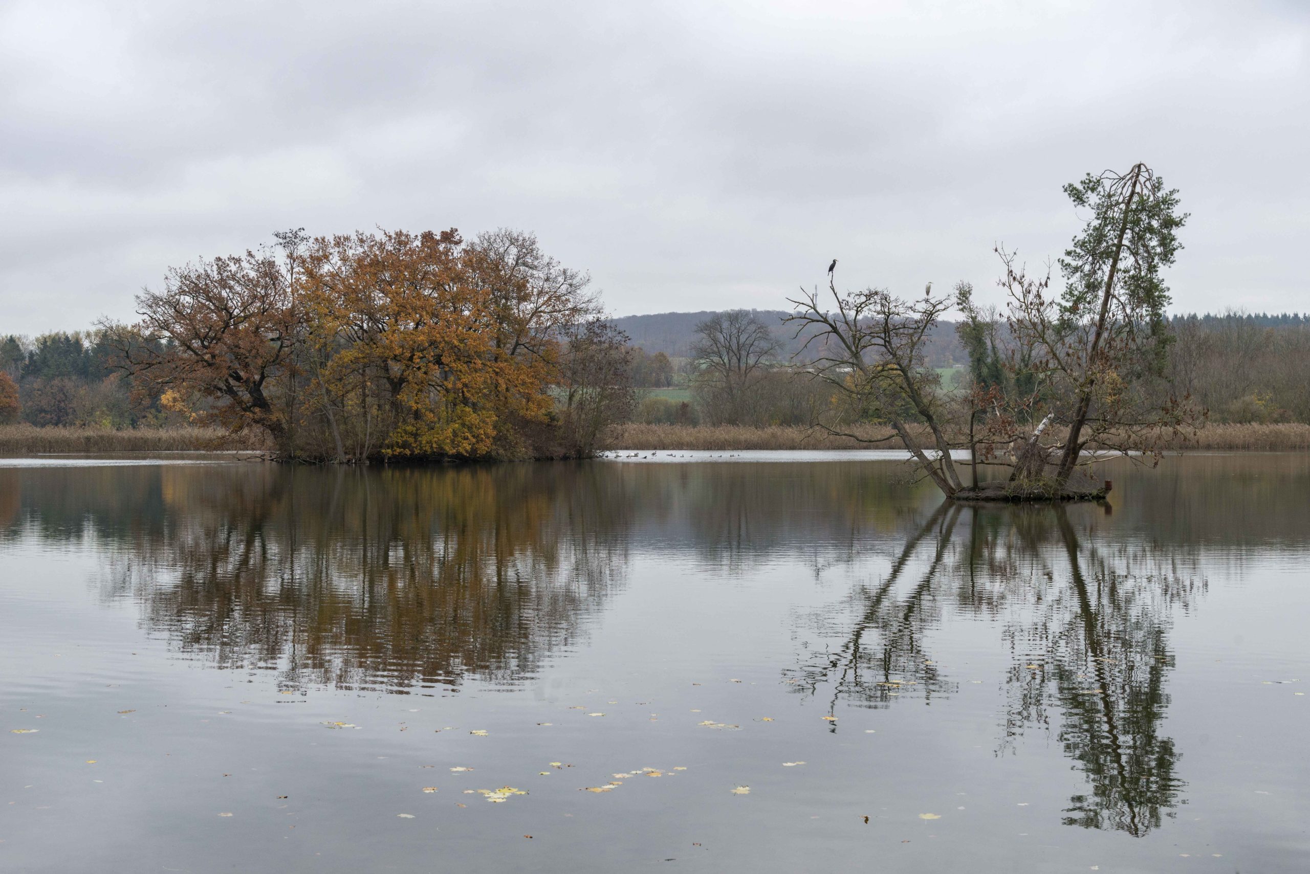 am See auf dem Laves-Kulturpfad