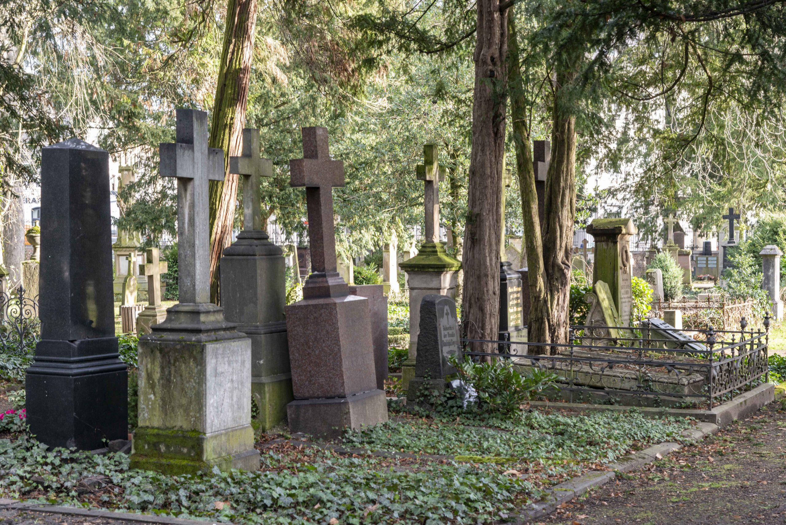 alter Friedhof Bonn