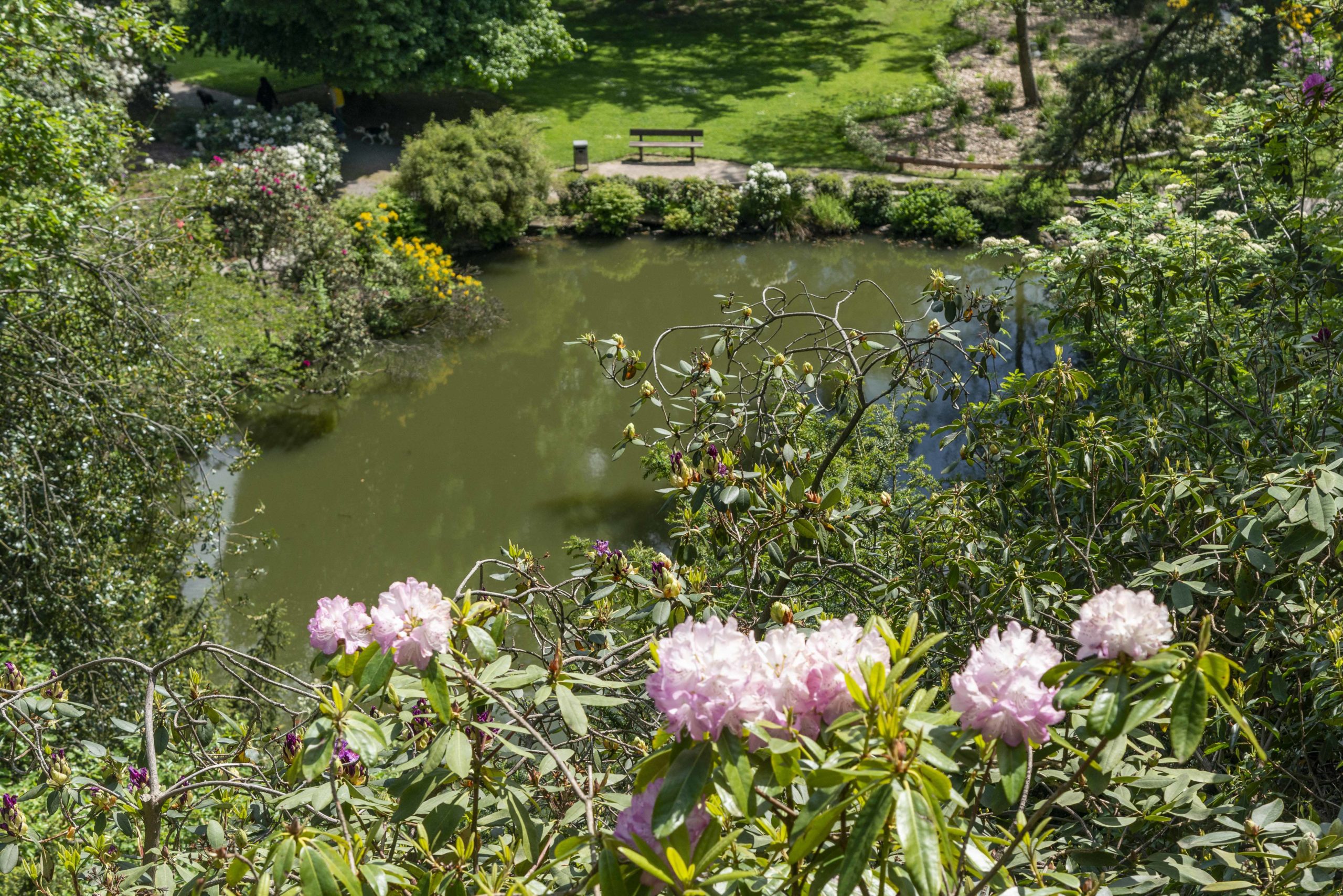 Ausblicke im Park