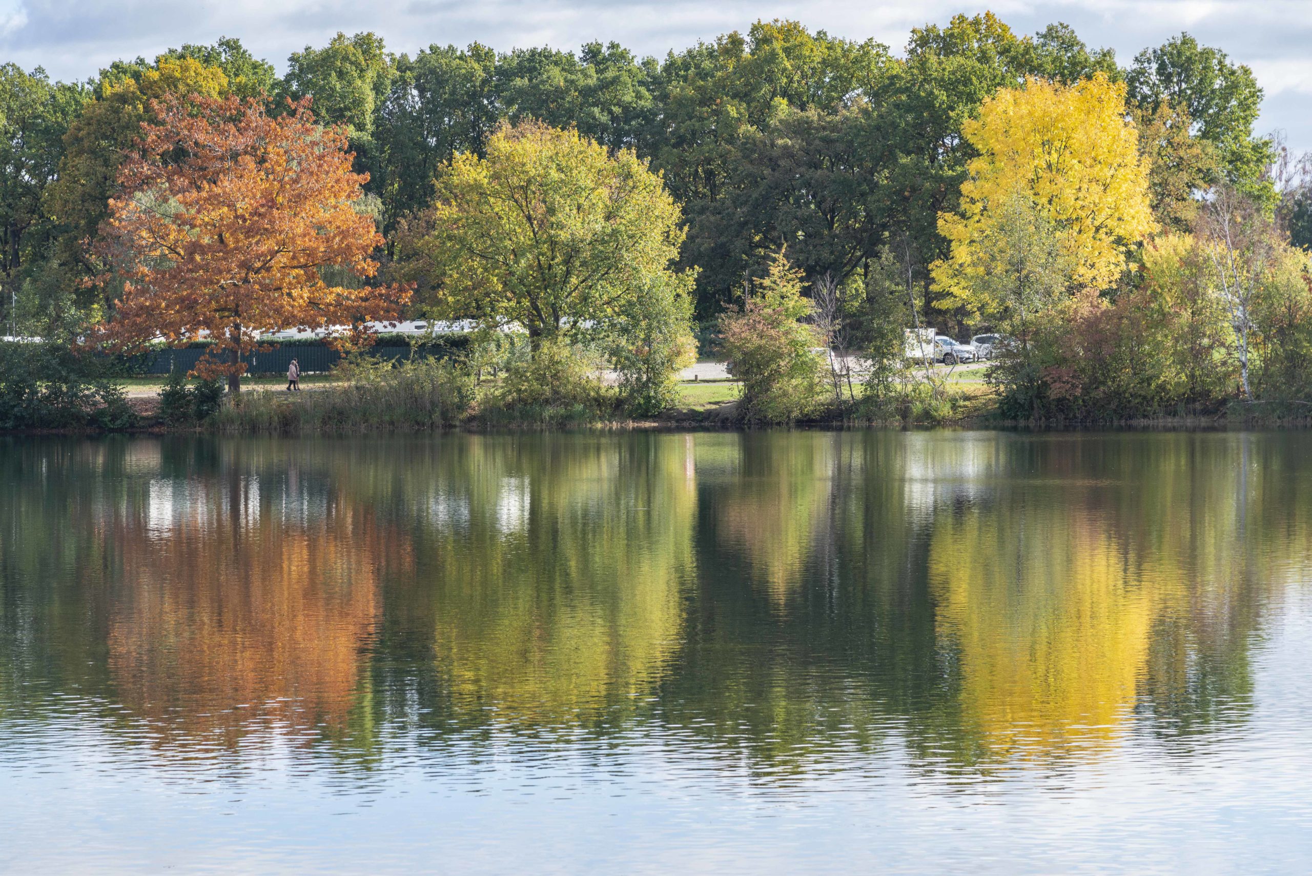 Allersee und Herbstfarben