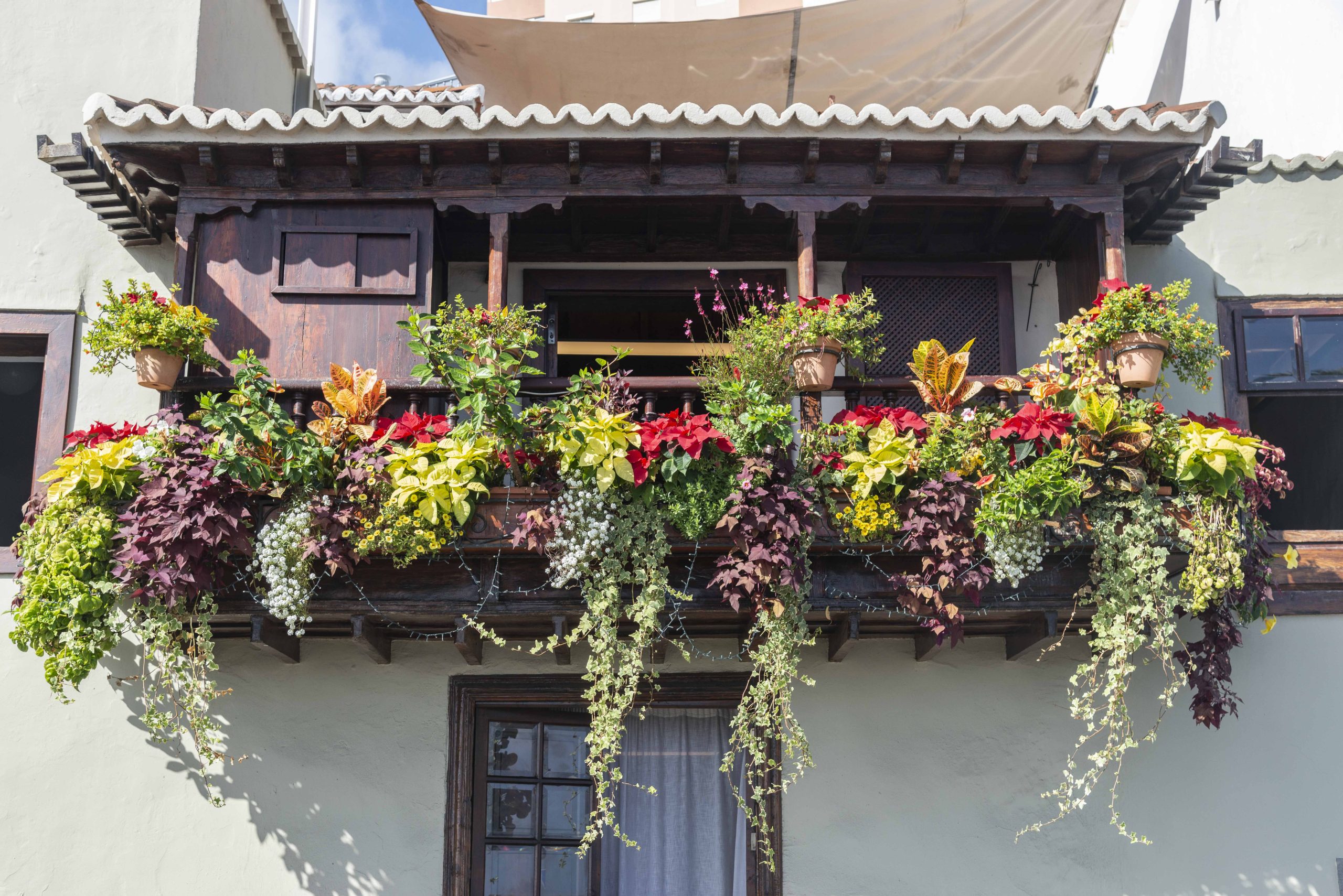 Balcones in Santa Cruz de La Palma