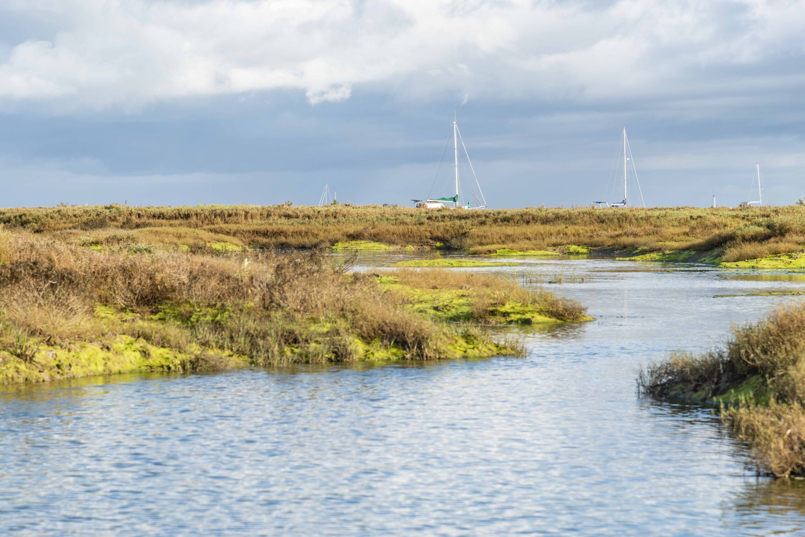 in der Ria Formosa