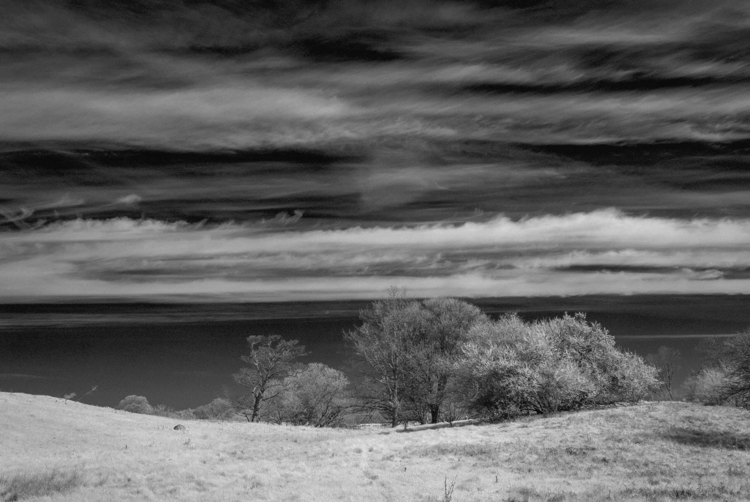 Landschaft in Infrarot und in Schwarz-Weiß