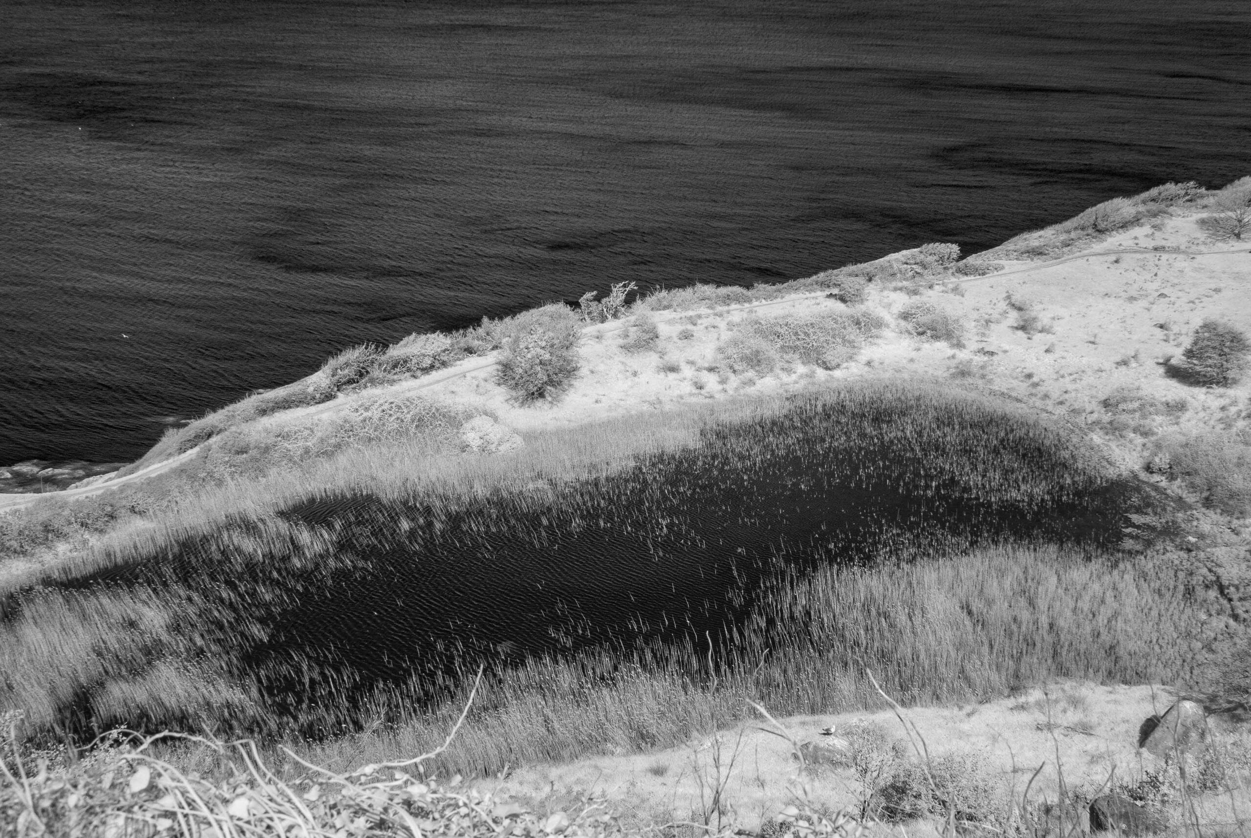 Wasser wird in der Infrarot-Fotografie fast schwarz.