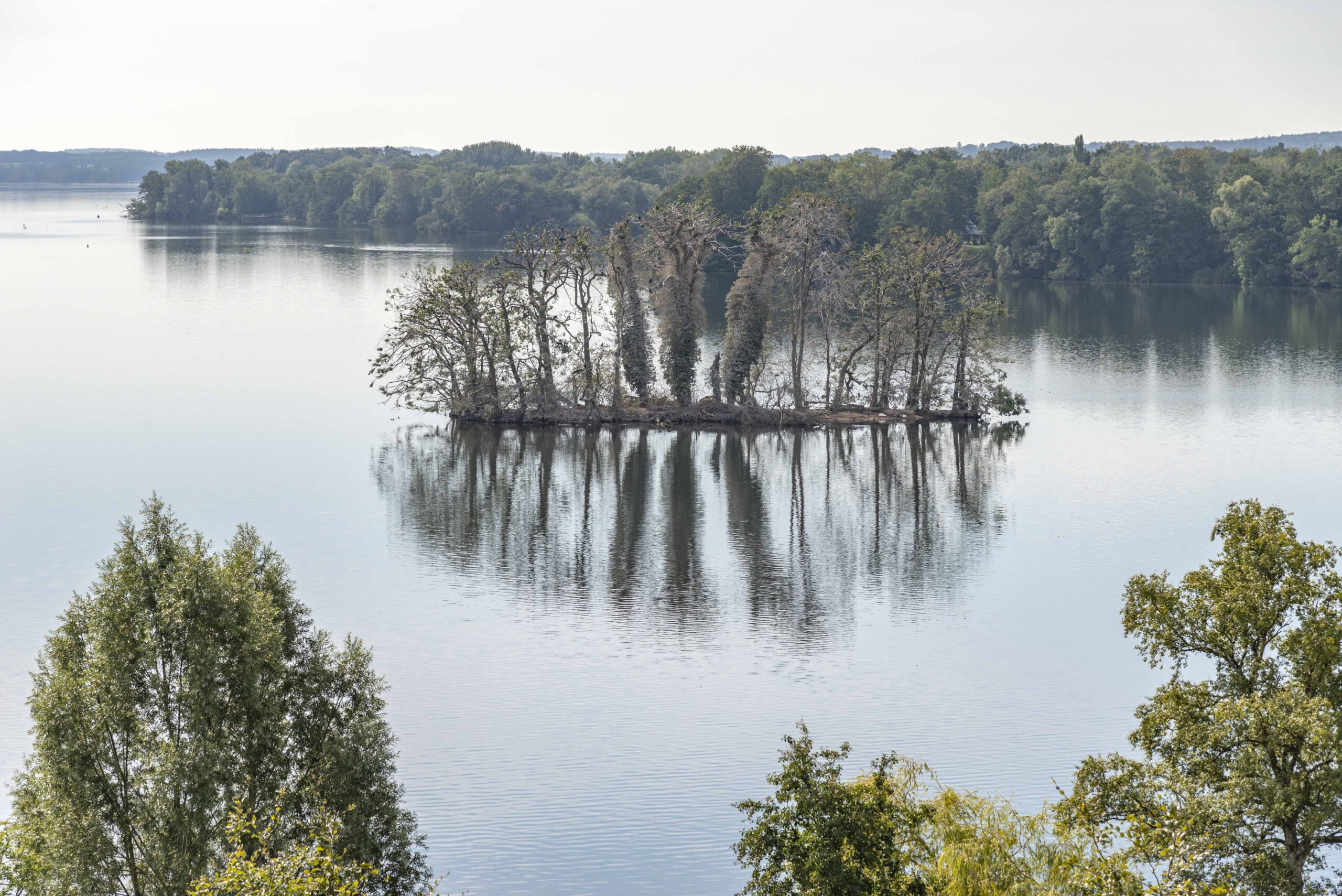 Blick vom Schloss auf den See